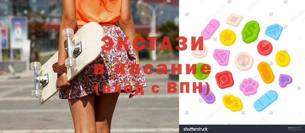 индика Алексин