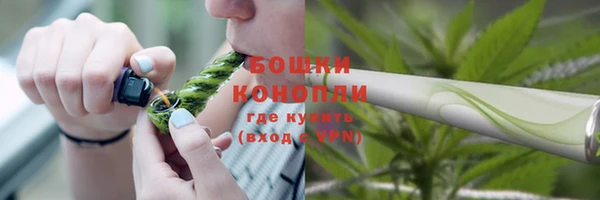 гидра Заводоуковск