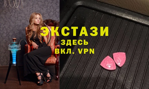 индика Алексин