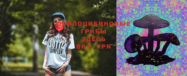 скорость Алзамай