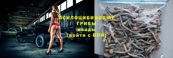 2c-b Абдулино