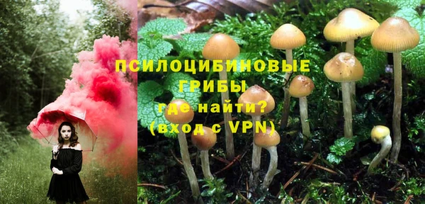 круглые Алексеевка
