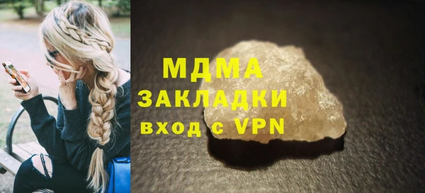 индика Алексин